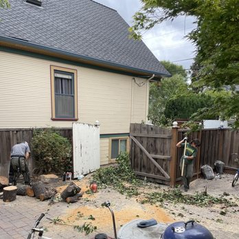 Berlanga Tree Service - The crew - Tree Services Near Me Berlanga Tree Service - The crew - Tree Services Near Me