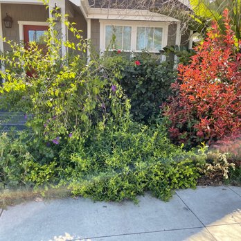Martin Gardening Services - Fences & Gates Near Me Martin Gardening Services - Fences & Gates Near Me