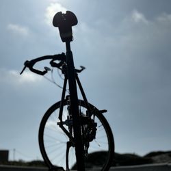 Trek Bicycle Ventura - Trek shadows