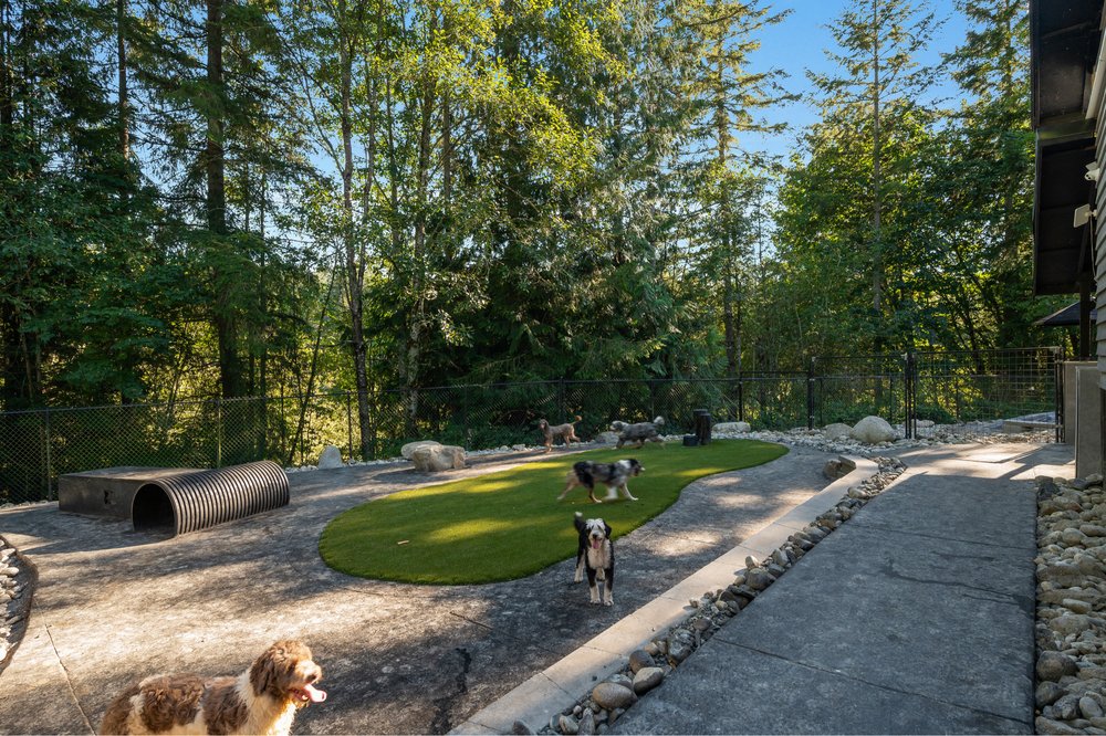 North Paw Pets Resort  Image