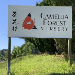 Camellia Forest Nursey