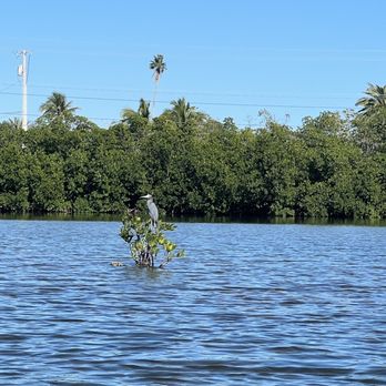 Lazy Dog Adventures - Rafting/Kayaking Near Me - Key West, Florida