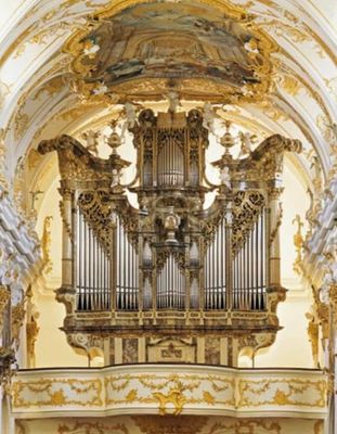 St. Peter Cathedral by null