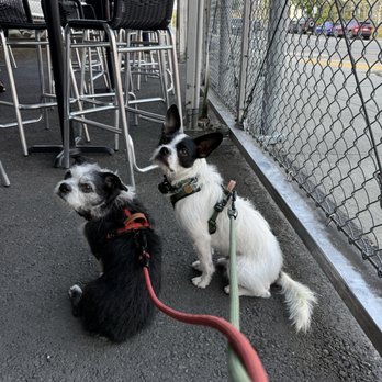 E9 Brewing - Chillin' in the outdoor seating. - Breweries Near Me - Tacoma, Washington
