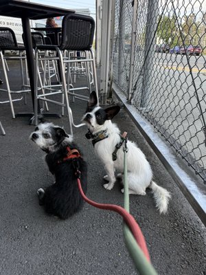 E9 Brewing Co. & Taproom by null