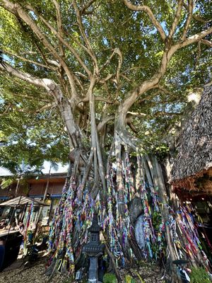 Casa Vigil Miami by null Casa Vigil Miami by null