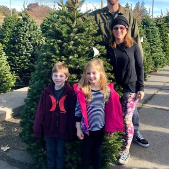 Santa's Surplus Trees - We went small this year for the sake of my back! - Christmas Trees Near Me - Concord, California Santa's Surplus Trees - We went small this year for the sake of my back! - Christmas Trees Near Me - Concord, California