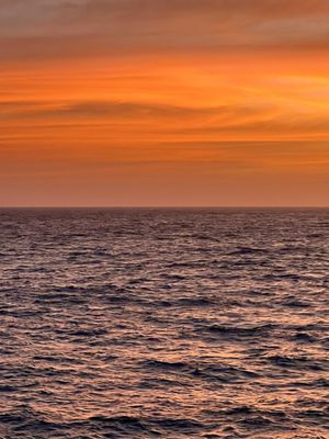 Caborey by null