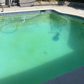 Beyond Clear Pools - After 1 month of beyond clear service - Pool Cleaners Near Me