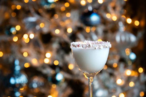 Penthouse on Park by null