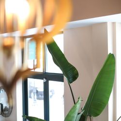 Scents of Serenity Organic Spa - Spa
