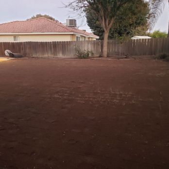 Sharp Edge Lawn Services - This customer called us bavk after one time clean ups to grown some grass. - Lawn Services Near Me Sharp Edge Lawn Services - This customer called us bavk after one time clean ups to grown some grass. - Lawn Services Near Me