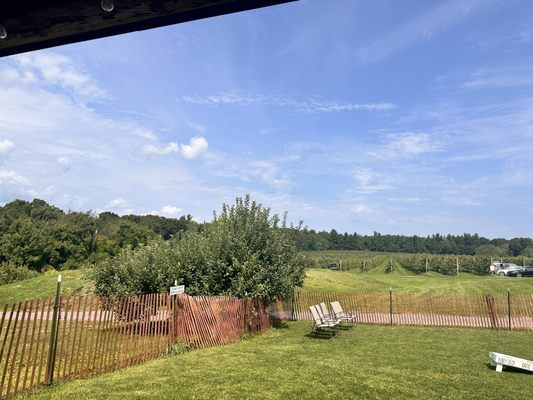 Cider Barn Taproom at Carlson Orchards by null