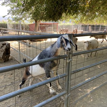 Bates Nut Farm - Specialty Food Near Me - Valley Center, California Bates Nut Farm - Specialty Food Near Me - Valley Center, California