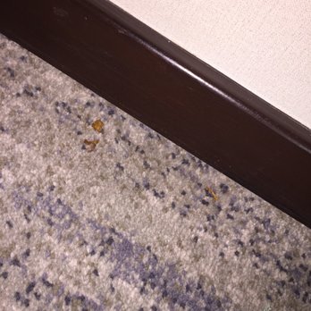 Limketkai Luxe Hotel - These bits of food are ALL OVER THE FLOOR. No one vacuumed, no wonder they have bed bugs. - Hotels Near Me - Cagayan de Oro, MSR