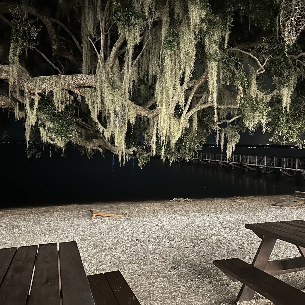 Salt Shack - The lake view - Seafood Near Me - Clermont, Florida