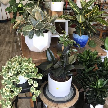 Bloom In Box - Florists Near Me - La Palma, California Bloom In Box - Florists Near Me - La Palma, California
