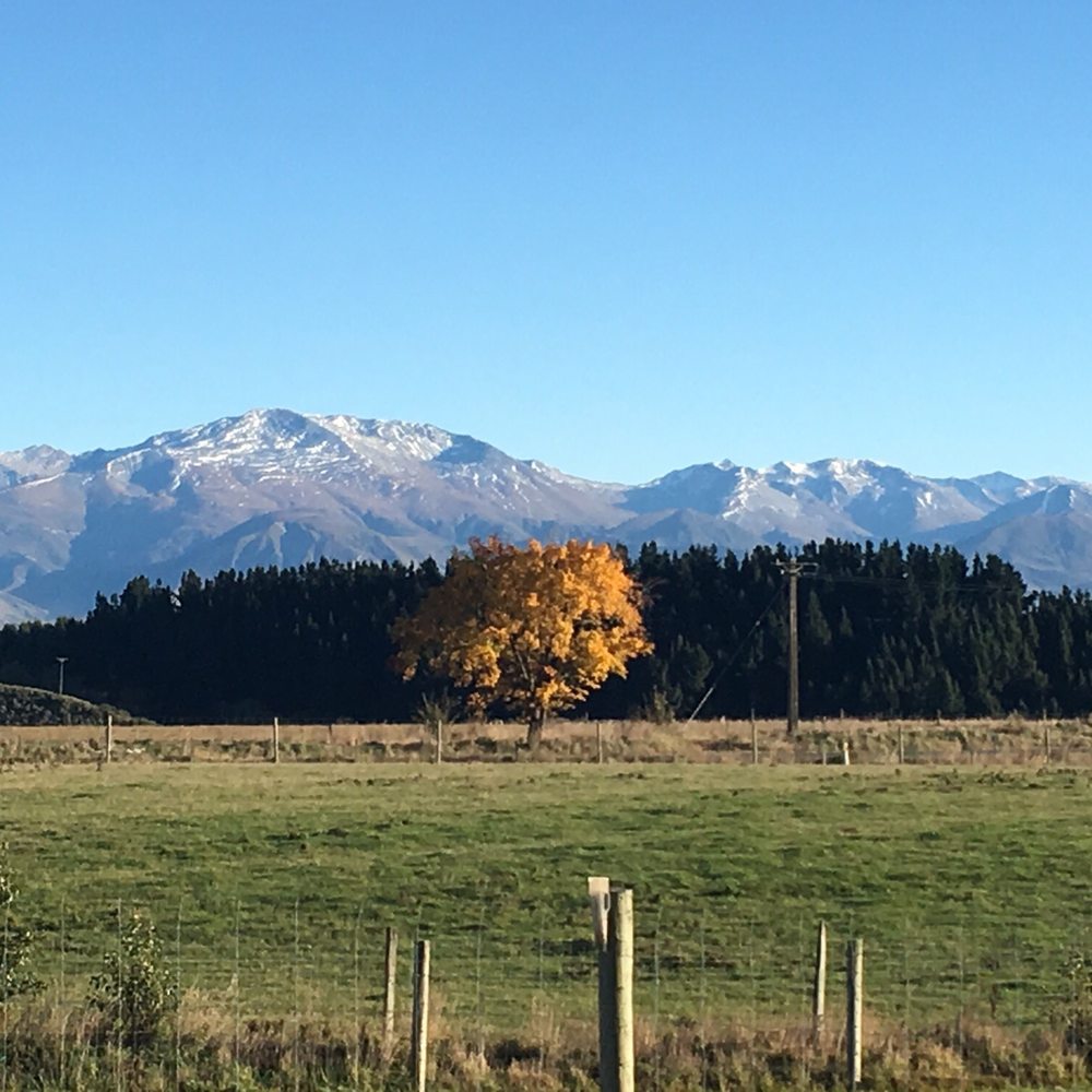 Tarras Country Cafe - Cafes Near Me - Tarras, OTA Tarras Country Cafe - Cafes Near Me - Tarras, OTA