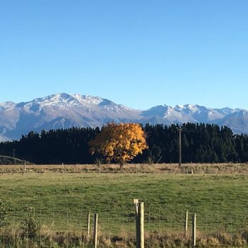 Tarras Country Cafe - Cafes Near Me - Tarras, OTA Tarras Country Cafe - Cafes Near Me - Tarras, OTA