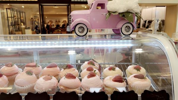 CamiCakes Cupcakes by null