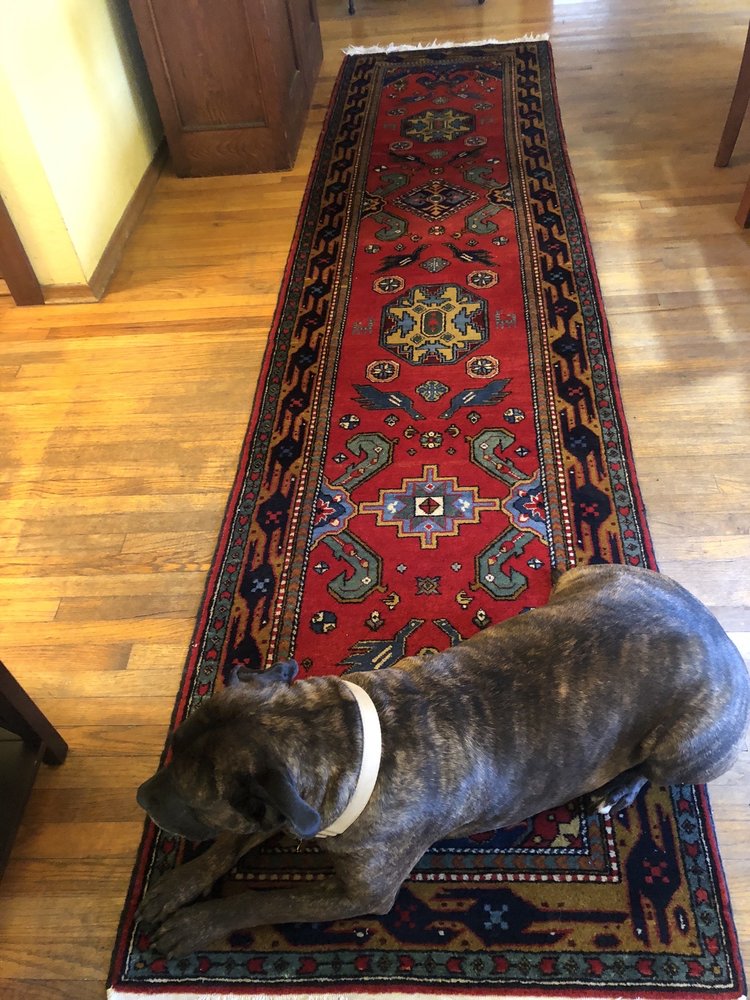 APTOS CARPET & UPHOLSTERY CLEANING 12 Photos & 35 Reviews 110 Alta