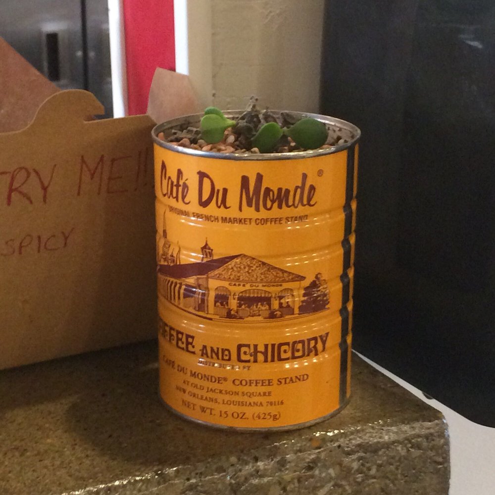 Ineffable Ca Phe - Box with some of their home grown peppers for customers to try. Coffee can from Cafe Du Mondrian with plant growing. - Vietnamese Near Me - Pittsburgh, Pennsylvania Ineffable Ca Phe - Box with some of their home grown peppers for customers to try. Coffee can from Cafe Du Mondrian with plant growing. - Vietnamese Near Me - Pittsburgh, Pennsylvania