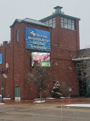 National Mississippi River Museum & Aquarium by null