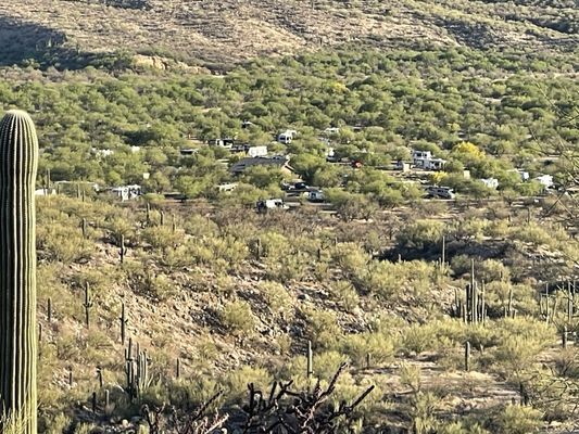 Catalina State Park by null