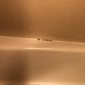 Red Roof - Glue or something leaking from the shower wall - Hotels Near Me - Alsip, Illinois Red Roof - Glue or something leaking from the shower wall - Hotels Near Me - Alsip, Illinois