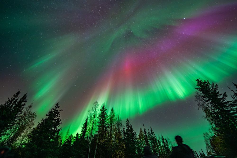 The Aurora Chasers