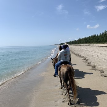 Tours on Horseback - Horseback Riding Near Me - Fort Pierce, Florida Tours on Horseback - Horseback Riding Near Me - Fort Pierce, Florida