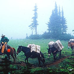 Icicle Outfitters & Guides - Drop Camps let you do a light footed hike while the mules do the heavy work.