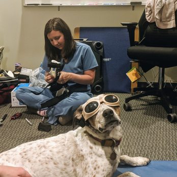 Walking Paws Rehab - Laser therapy! - Veterinarians Near Me - Boulder, Colorado