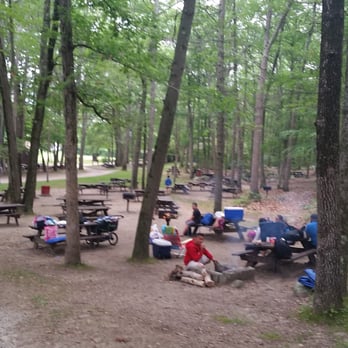 Douglas State Forest - Picnic area. - Hiking Near Me - Douglas, Massachusetts