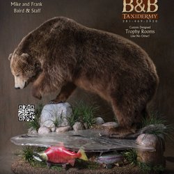 B & B Taxidermy