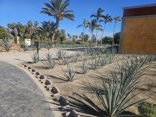 Hotel Villa Santa Cruz by null