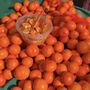 Photo of Peaceful Valley Farmers Market
