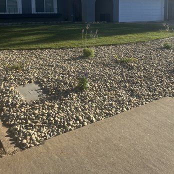 JP Garden - After. Sod, new sprinkler system, low maintenance flowers, drip system, rocks. - Landscaping Near Me JP Garden - After. Sod, new sprinkler system, low maintenance flowers, drip system, rocks. - Landscaping Near Me
