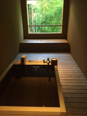 Kinnotake Tōnosawa by null