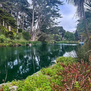 Blue Heron Lake - Lakes Near Me - San Francisco, California Blue Heron Lake - Lakes Near Me - San Francisco, California