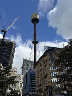 Sydney Tower Eye by null