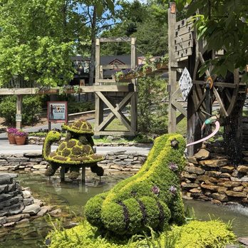 Dollywood's Splash Country - Pond action! - Amusement Parks Near Me - Pigeon Forge, Tennessee Dollywood's Splash Country - Pond action! - Amusement Parks Near Me - Pigeon Forge, Tennessee