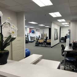Momentum Physical Therapy