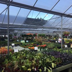 Pike Nurseries