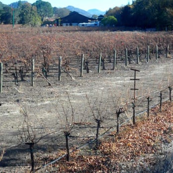HALL Wines - Wineries Near Me - Saint Helena, California HALL Wines - Wineries Near Me - Saint Helena, California