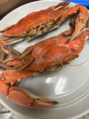 Porgy’s Seafood Market by null