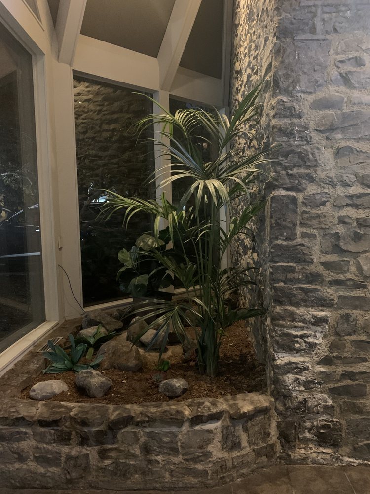 A'rise & Shine Counseling - grief counselor in Rochester, NY