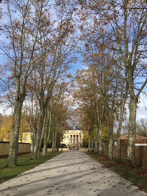 Château Margaux by null