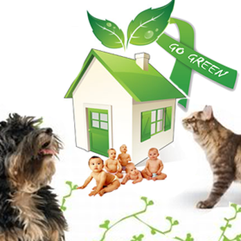 Simply Clean - Home Cleaning Near Me - Naperville, Illinois Simply Clean - Home Cleaning Near Me - Naperville, Illinois