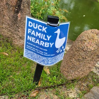 McNay Art Museum - Art Museums Near Me - San Antonio, Texas McNay Art Museum - Art Museums Near Me - San Antonio, Texas